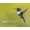 KNYGA Bird Photographer of the Year