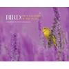 KNYGA Bird Photographer of the Year