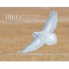 KNYGA Bird Photographer of the Year