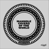 KNYGA Bjorn Altmann Manhole Covers of the World