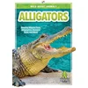 KNYGA Bookshop Alligators