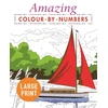 KNYGA Bookshop Amazing Colour-by-Numbers Large Print