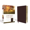 KNYGA Bookshop Amplified Holy Bible, Large Print, Bonded Leather, Burgundy