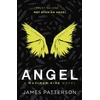 KNYGA Bookshop Angel: A Maximum Ride Novel
