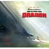 KNYGA Bookshop Art of How to Train Your Dragon