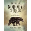 KNYGA Bookshop Bear Nobody Could See