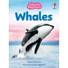 KNYGA James Maclaine Beginners Whales