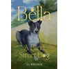 KNYGA Bookshop Bella, the journey of A Blind Street Dog