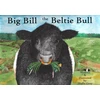 KNYGA Bookshop Big Bill the Beltie Bull