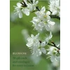 KNYGA Bookshop Blossom Large Card Box