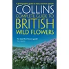KNYGA Bookshop British Wild Flowers