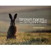 KNYGA Bookshop Brown Hares in the Derbyshire Dales