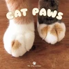 KNYGA Bookshop Cat Paws