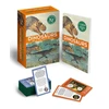 KNYGA Bookshop Dinosaurs: Book and Fact Cards
