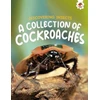 KNYGA Bookshop Discovering Insects: A Collection of Cockroaches