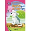 KNYGA Bookshop Dog on a Log
