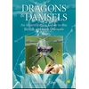 KNYGA Bookshop Dragons and Damsels