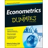 KNYGA Bookshop Econometrics For Dummies