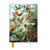 KNYGA Bookshop Ernst Haeckel: Hummingbirds (Foiled Blank Journal)