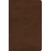 KNYGA Bookshop ESV Spanish/English Parallel Bible