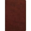 KNYGA Bookshop ESV Student Study Bible