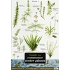 KNYGA Bookshop Guide to Commoner Vanduo Plants