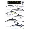 KNYGA Bookshop Guide to the UK Cetaceans and Seals