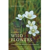 KNYGA Bookshop Harrap’s Wild Flowers
