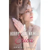 KNYGA Bookshop Horny Gilf Named Erica