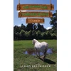 KNYGA Bookshop Horses of Saddlers Ranch: Cloud