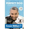 KNYGA Bookshop How to Raise the Perfect Dog