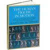 KNYGA Bookshop Human Figure in Motion
