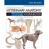 KNYGA Bookshop Introduction to Veterinary Anatomy and Physiology Workbook