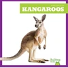 KNYGA Bookshop Kangaroos