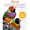 KNYGA Bookshop Large Print Colour by Numbers Birds