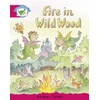 KNYGA Bookshop Literacy Edition Storyworlds Stage 5, Fantasy World, Fire in Wild Wood