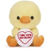 KNYGA Bookshop Love Hearts 7" Egg-Cellent Chick Plush Gift