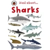 KNYGA Bookshop Mad About Sharks