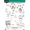 KNYGA Bookshop Mammal tracks and signs