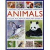 KNYGA Bookshop Masterclass in Drawing &amp; Painting Animals