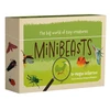 KNYGA Bookshop Minibeasts