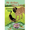 KNYGA Bookshop Mr Arthur, Miss Echo and the Grumpy Toad