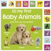 KNYGA Bookshop My First Baby Animals: Let's Find Our Favourites!
