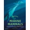 KNYGA Bookshop Mysteries of Marine Mammals