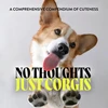 KNYGA Bookshop No Thoughts Just Corgis