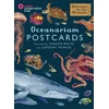 KNYGA Bookshop Oceanarium Postcards