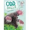 KNYGA Bookshop Oddballs