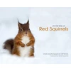 KNYGA Bookshop On the Trail of Raudona Squirrels