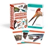 KNYGA Bookshop Our World in Pictures Dinosaurs and Other Prehistoric Creatures Flash Cards