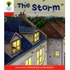 KNYGA Bookshop Oxford Reading Tree: Level 4: Stories: The Storm